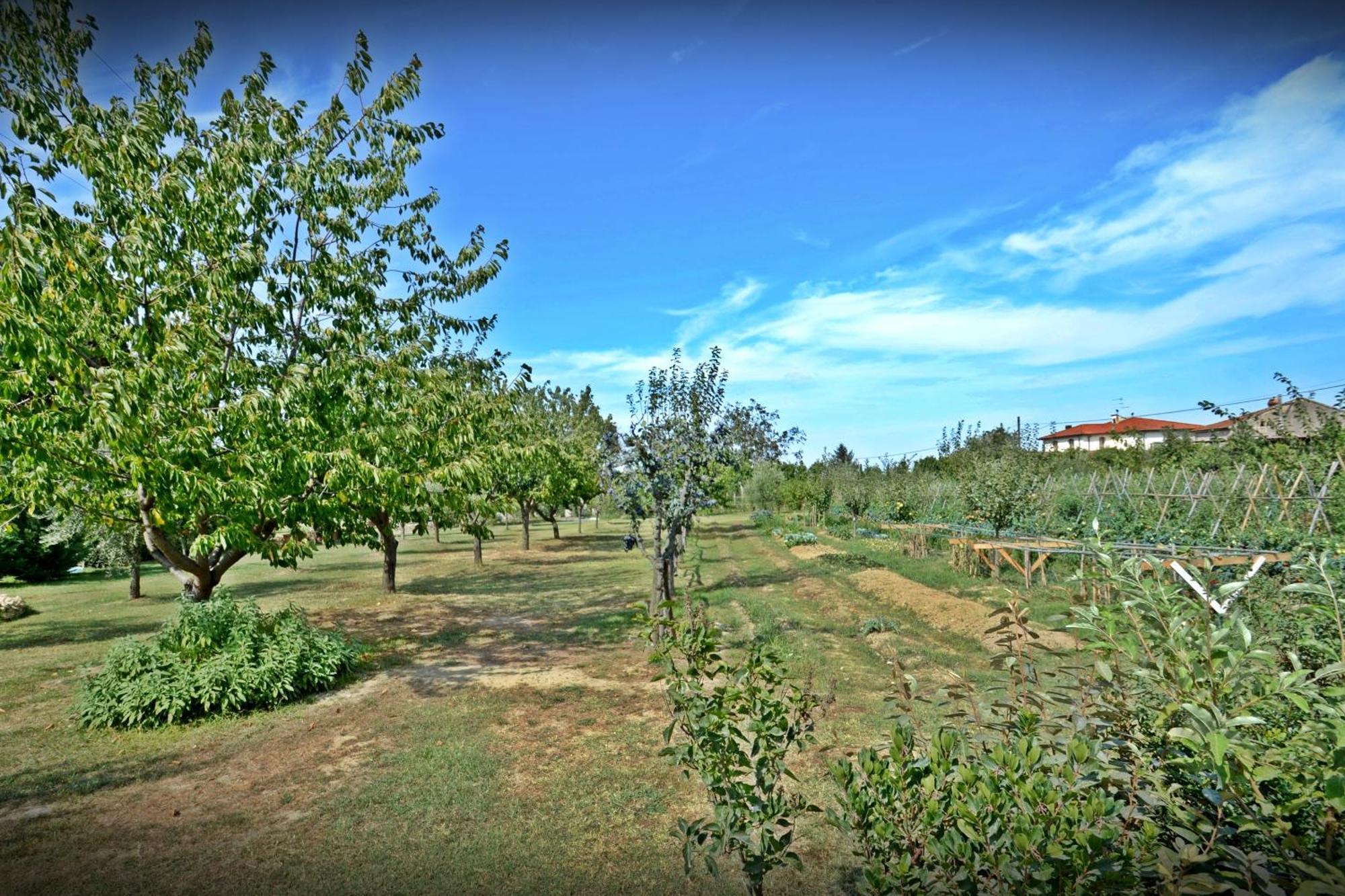 Cevoli Country Resort Lari Exterior foto